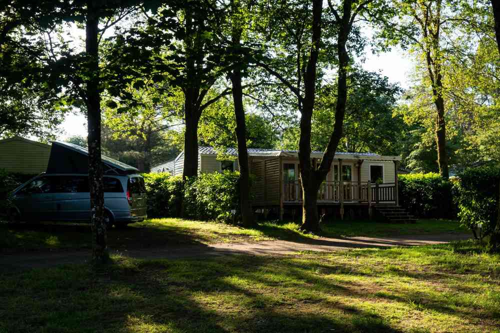 Caravane et maison mobile entourées de verdure dans un cadre de camping
