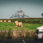 Deux camper vans garés devant un champ avec moutons et Mont Saint-Michel